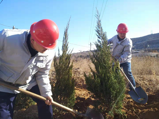 ֲ����������ʱ����ɽ���������š����ж���