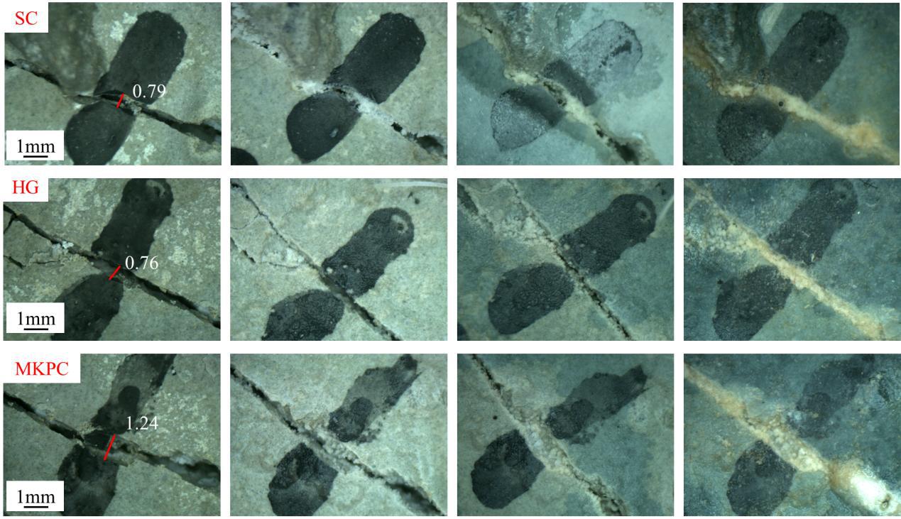 ɽ����Ͷ��̽Ժ��˾�ֳ��걨2022��ɽ��ʡ����ָ���ط��Ƽ������ʽ���Ŀ