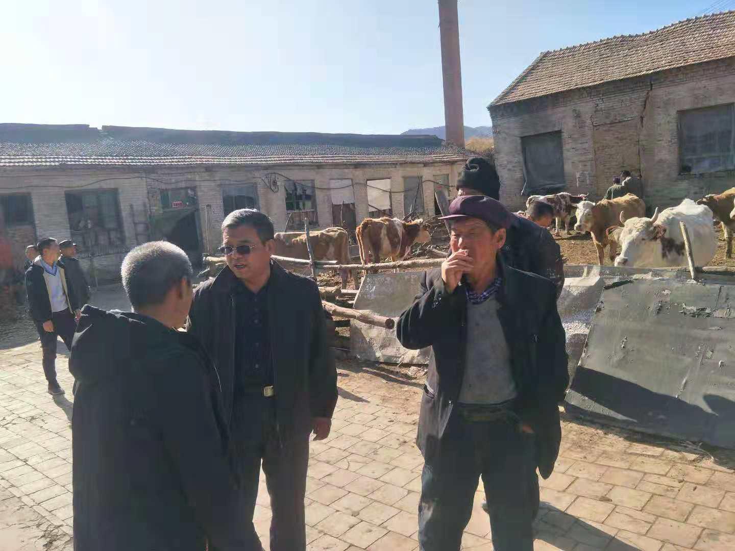 GGPoker��(�й���½)Ψһ�ٷ���վ