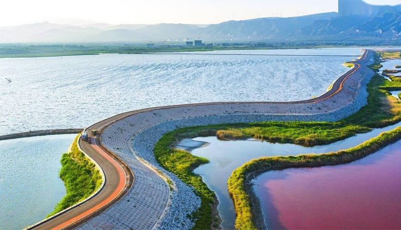 ���ܻ���